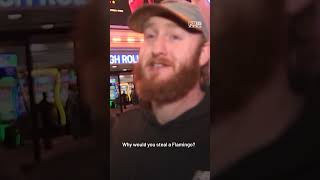 Outrage after tourist accused of stealing, injuring flamingos at Las Vegas casino