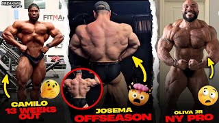 Josema Offseason Mejor Que Muchos Oliva Jr 14 Weeks Out Ny Pro 2026 Camilo Gamboa 13 Wo Update
