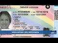 Redesigned driver’s licenses available through new online portal