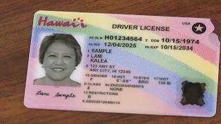 Redesigned driver’s licenses available through new online portal