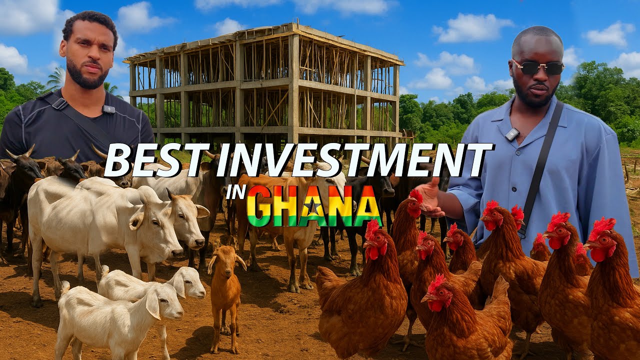 НЕМЕЦКО-ГАНСКАЯ СЕМЬЯ СТРОИТ РЕСТОРАН И ФЕРМУ В СУНЯНИ, ГАНА 🇩🇪🇬🇭 | ИНВЕСТИЦИИ В АФРИКУ