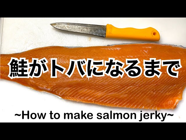究極の血抜きをした鮭でトバ作り。一週間はかかるけど美味い！【Making