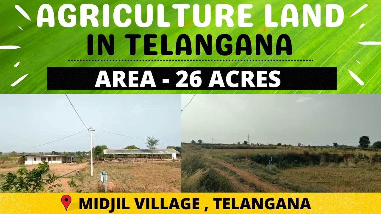 MIDJIL 26 ACRES AGRICULTURE FARMLAND FOR SALE JADCHERLA