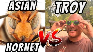 WE CAPTURED ASIAN HORNETS AND BROUGHT THEM INSIDE OUR HOUSE