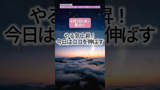 【2026年6月3日(水)の運勢】やる気上昇！今日はここを伸ばす#今日の運勢 #星占い #タロット