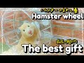 【感謝】みんなのおかげでチビ達に最高の贈り物が届いたぞぉぉおぉーっ！！Hamster wheel the best gift.