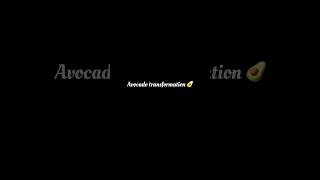 Viral avocado 🥑 transformation 😍#satisfying #oddlysatisfying #viralvideo #ai #transformation