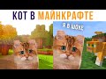 Кот попал в МАЙНКРАФТ!))) Приколы с котами | Мемозг 647