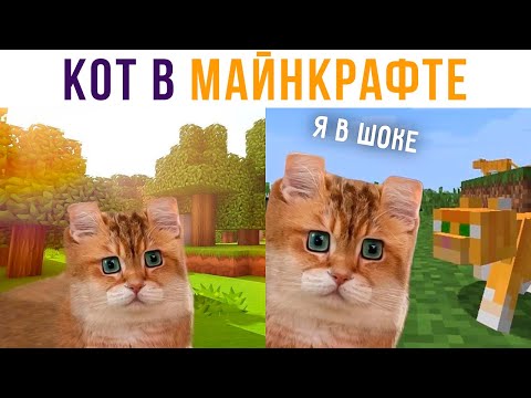 Кот попал в МАЙНКРАФТ!))) Приколы с котами | Мемозг 647