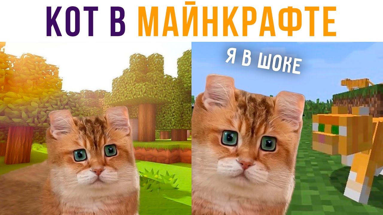 Тесла кот майнкрафт