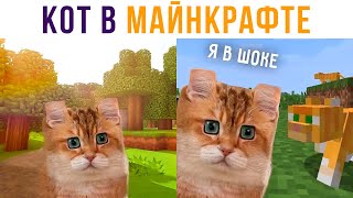 Кот попал в МАЙНКРАФТ!))) Приколы с котами | Мемозг 647