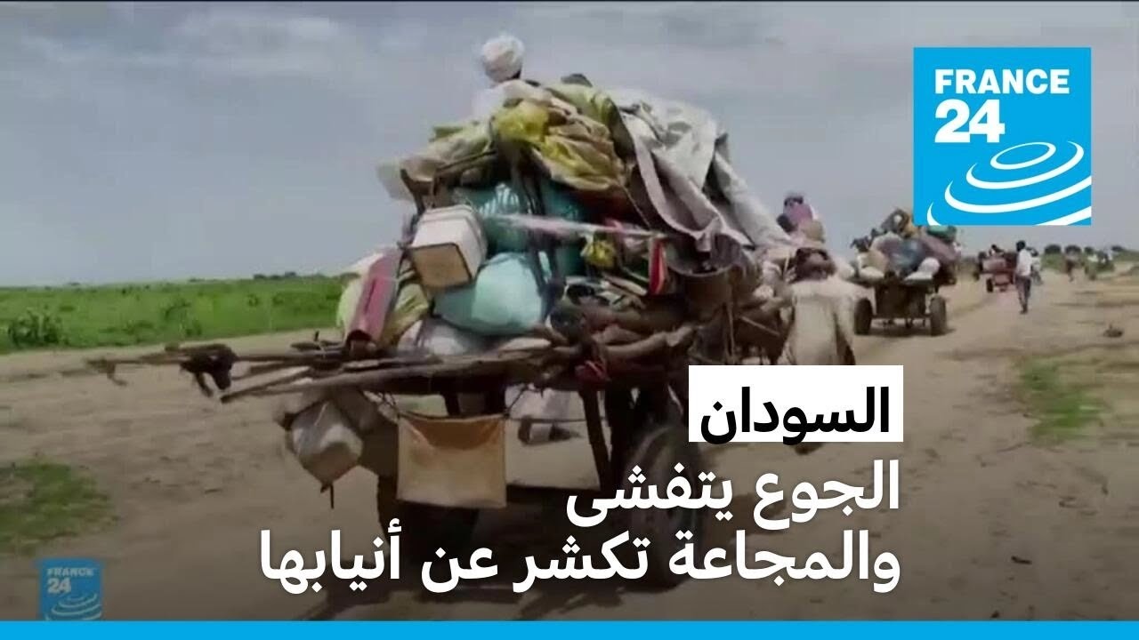          
 - نشر قبل 1 ساعة