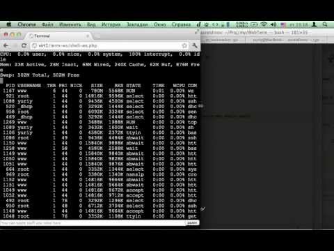 Demonstration of how terminal emulator using websocket works
