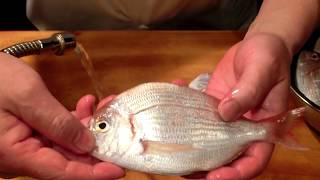 《血鯛(チダイ)の昆布締め【1】》・・・・大和の 和の料理《昆布締め》