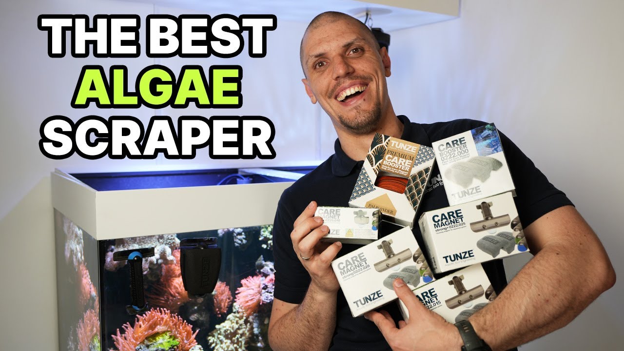 Is that the BEST Algae-Scraper?! - Tunze