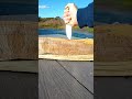 Pocket check ✔️ Joker Erinzo mini fixed blade .#shorts #youtubeshorts #shortvideo