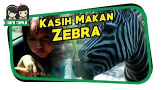 Belajar mengenal nama suara binatang dan hewan di taman safari indonesia