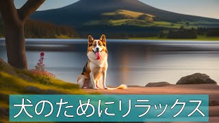 心理を安定させる音楽と、孤独な犬のための心地よい波🌊 by 犬のリラックスタイム 5 views 11 months ago 1 hour, 58 minutes