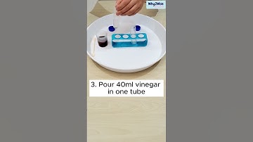 [Why2Wise kidzone] Science Experiment Kit -Magical Discolor scienceexperiment #chemistryset