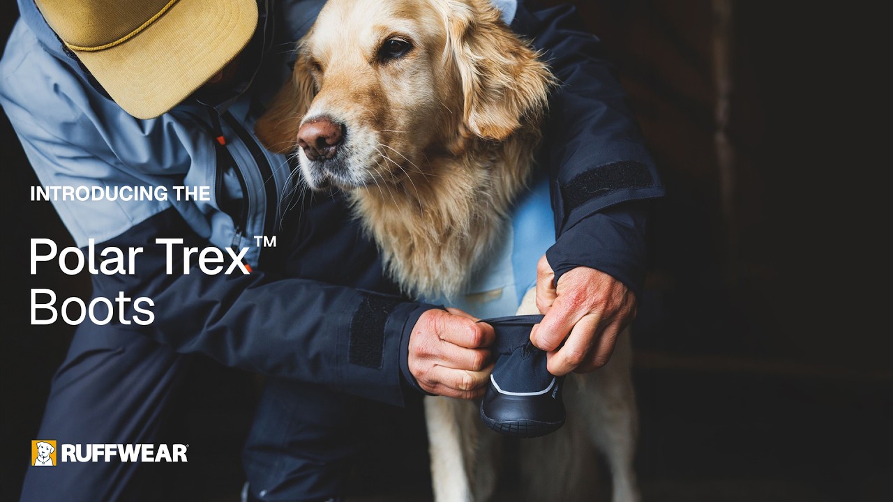 Polar Trex™ Winter Boots | Ruffwear