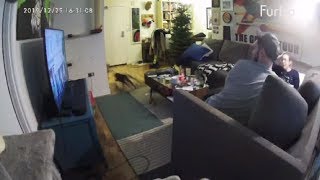 Crazy Kitty Kept Bolting Around The House To Get Some Attention