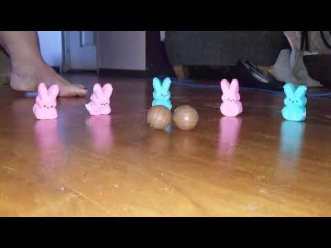 Easter Surprise