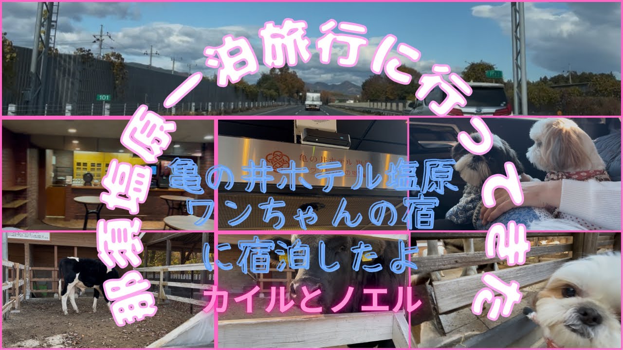 家族みんなで那須塩原温泉に一泊旅行してきました。【亀の井ホテル塩原　ワンちゃんの宿】
