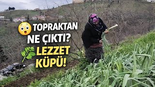 🌿 Köyde Pırasa Sökümü Ve Gezinti Karadeniz Günlük Köy Vlog