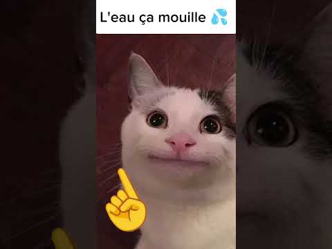 #viral #tendance #pov #memes #fyp