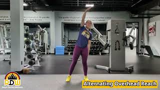 Alternating Overhead Reach