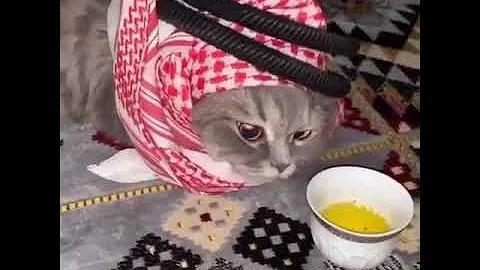 صبولي من الكيف وارهولي من الدله