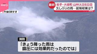 【岩手･山林火災6日目】久しぶりの雨…延焼収束は【中継】