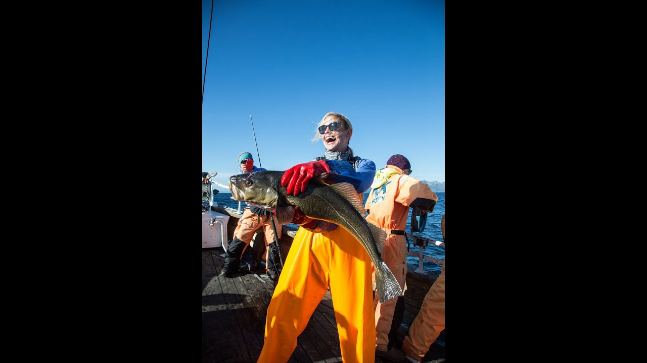 Fishing in Lofoten