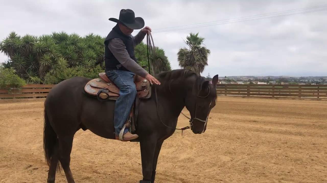 3ro de 6 videos CONOSIENDO AL CABALLO