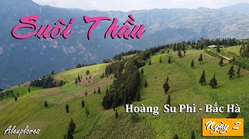 Thảo nguyên Suôi Thầu siêu đẹp trên hành trình phượt Hoàng Su Phì - Bắc Hà | Alexplores