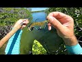 First Key Largo Fishing Experience - Florida Keys Adventure Epi 1