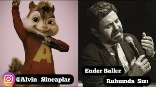 Ender Balkır - Ruhumda sızı (Alvin Ve Sincaplar) Resimi