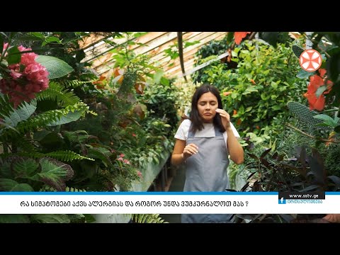 რა სიმპტომები აქვს ალერგიას და როგორ უნდა ვუმკურნალოთ მას?