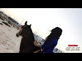 ذاب القلب يالريم معد يتحمل الزلزال رامي الفيصل