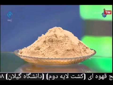 فواید سبوس برنج برای دیابت ریزش مو لاغری پوست یبوست حتما ببینید