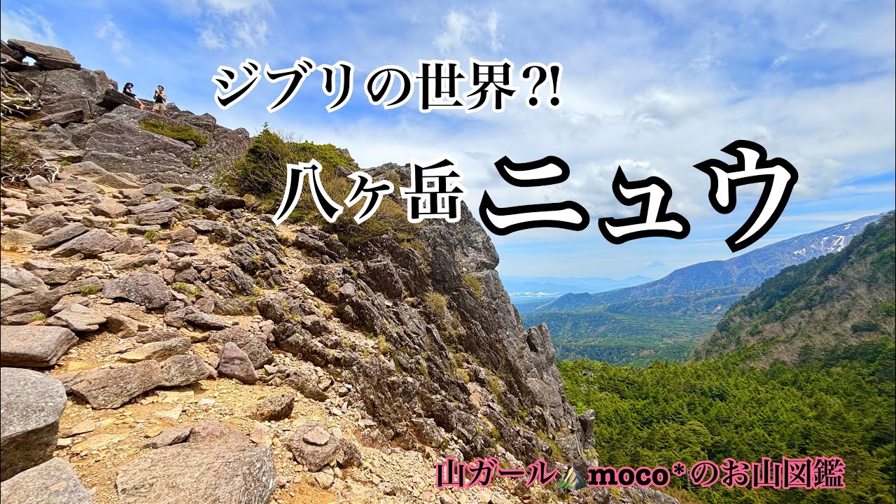 【八ヶ岳⛰️ニュウ】神秘的な苔の森🌳まるでジブリの世界⁉️