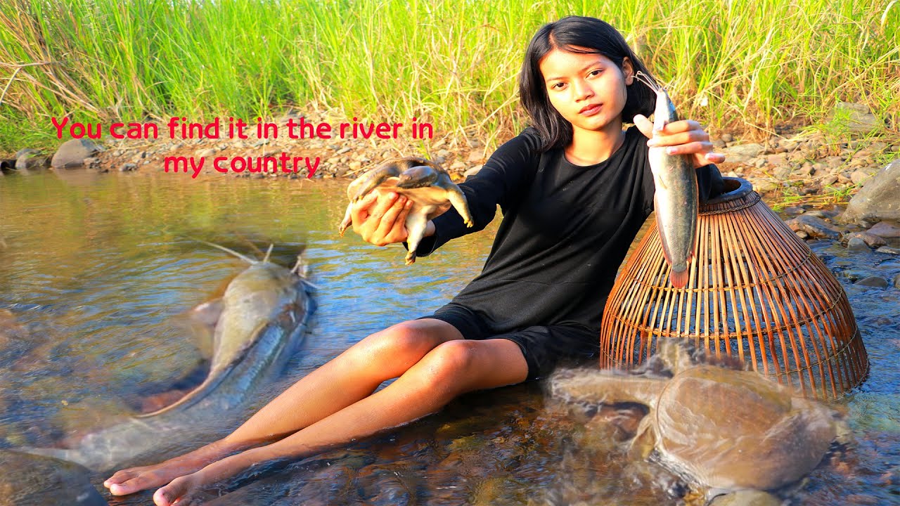 Beautiful Girl catch turtle and fish with bamboo trap at river
