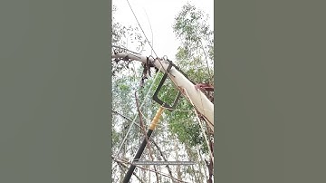 Tree Hanging Rope Gadget Working Process !