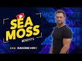 Sea Moss Benefits | The Benefits of Sea Moss