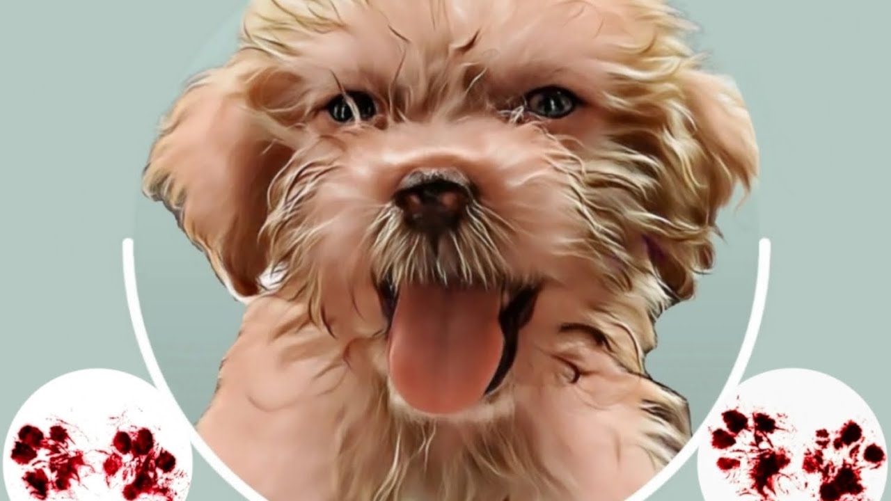 "If love could have saved you, you would have lived forever." 🥺💔