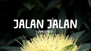 Download Lagu shaggydog - jalan jalan - yellow lirik MP3