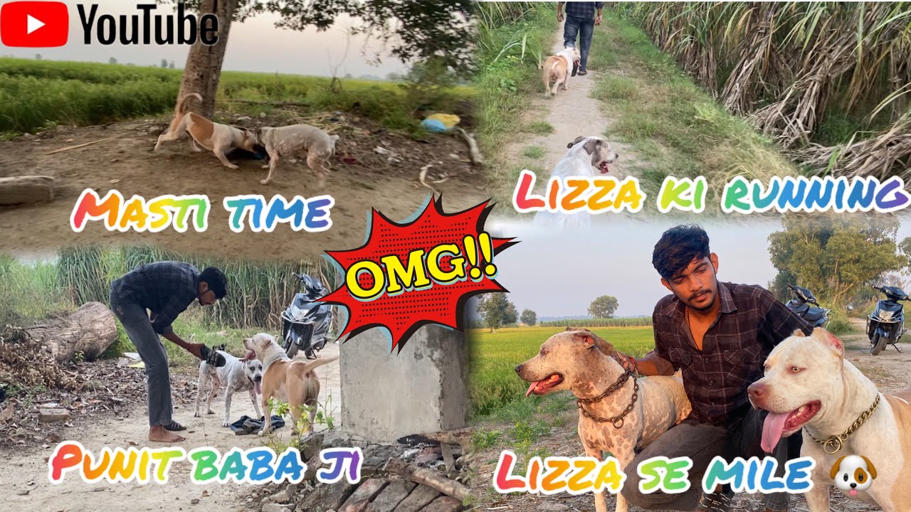 Lizza ki mom se mile or ston ki ￼running or practice ￼ Karavani k  baad thora enjoy kiya 👍😇 