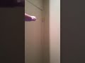 subscribe or ill eat your fucking pp