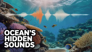 Can You Hear the Ocean's Wildest Symphony?