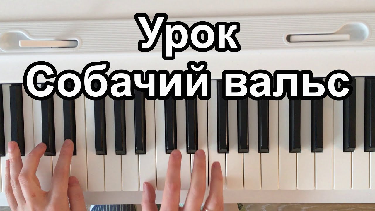 Как просто играть Собачий вальс на пианино - YouTube